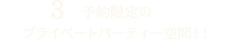 3 予約限定のプライベートパーティー空間!!